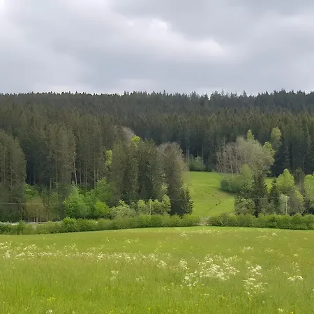 Am Brunnen Titisee-Neustadt